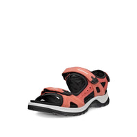 Offroad ECCO Spiced Coral $250 35