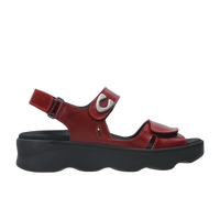 Wolky Oxblood Medusa Leather Sandal
